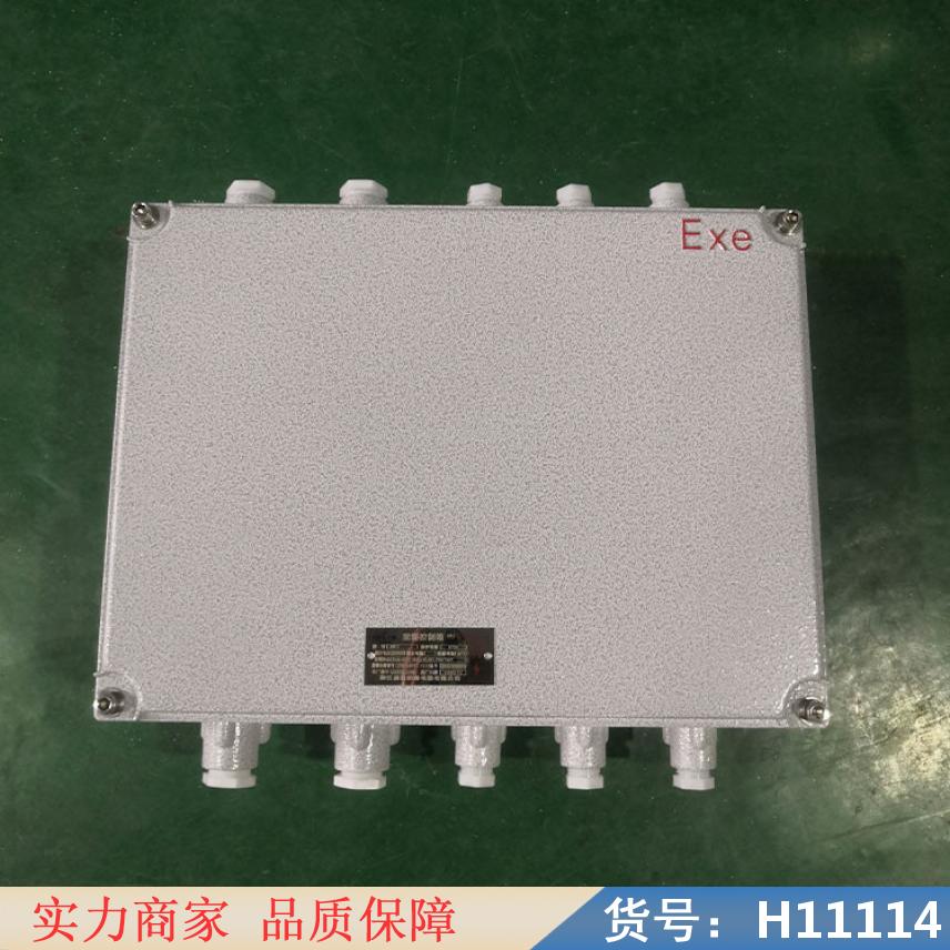 中德铁质明装接线盒 电伴热带终端接线盒 铸铝盒接线盒货号H11114