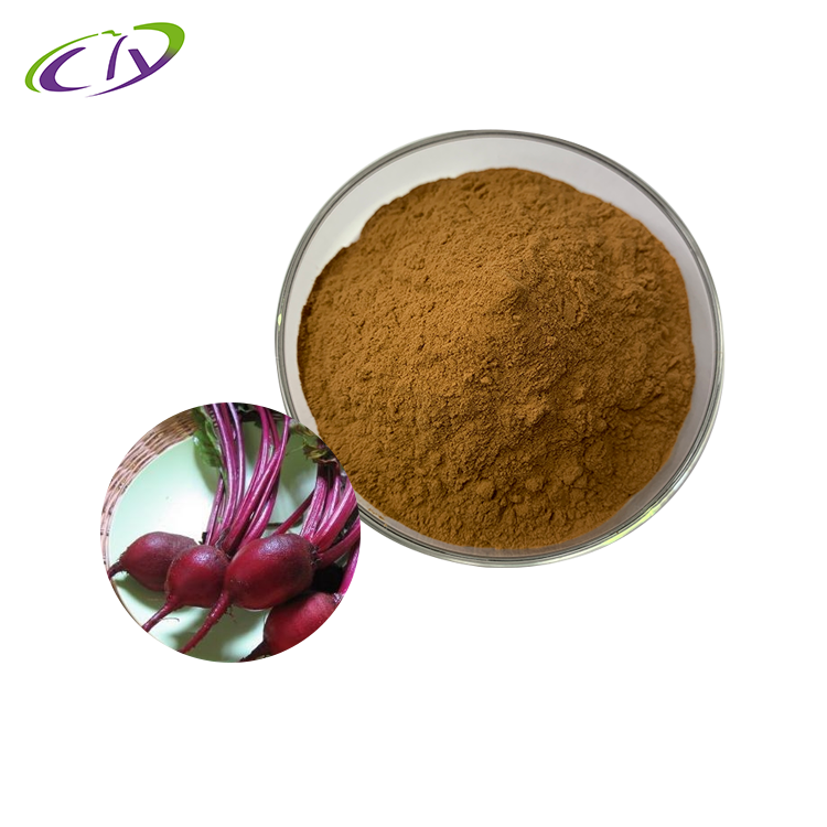 慈缘生物 SC厂家 甜菜根提取物10:1 甜菜根粉 菾菜根提取物 片剂胶囊原料