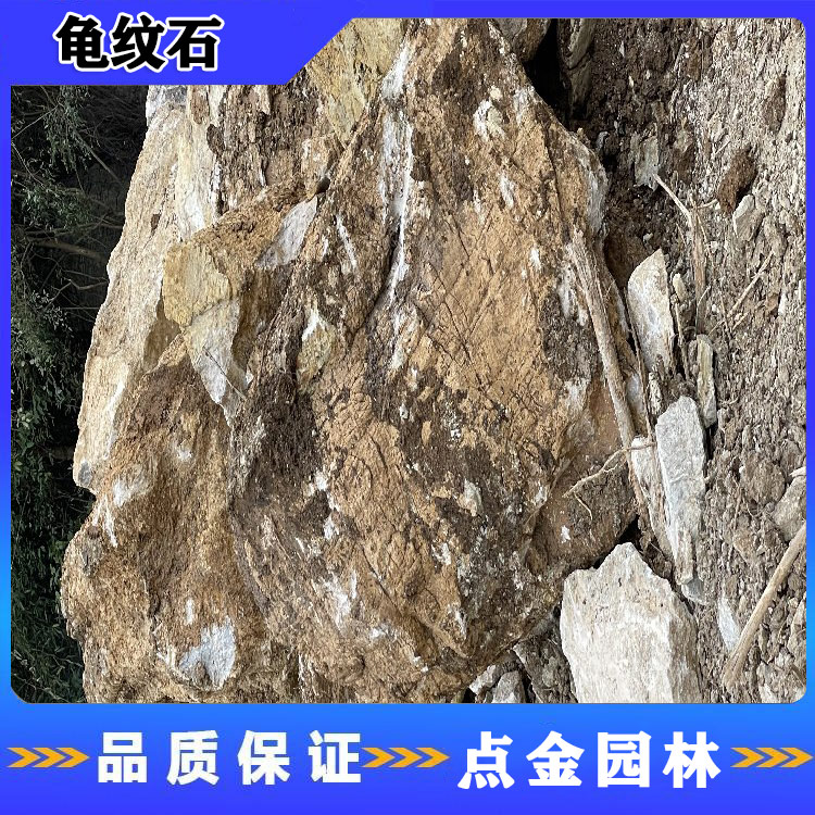 扬州驳岸龟纹石 龟纹石假山 黑色龟纹石价格 点金园林产地批发