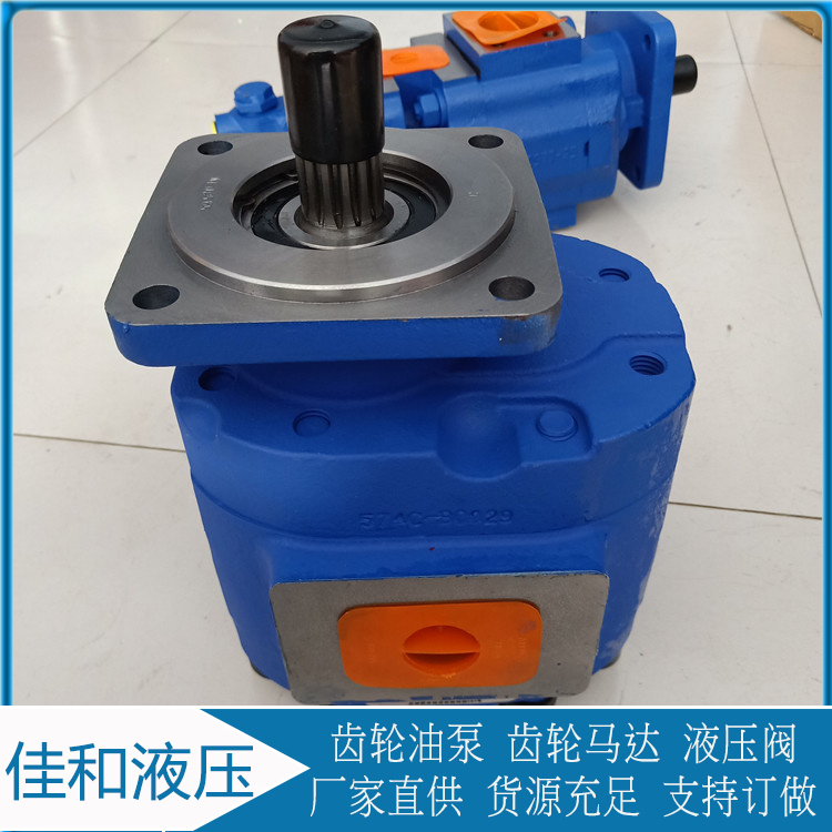 临工953装载机工作泵 1119041038 泊姆克液压泵 佳和液压