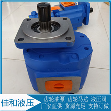临工953装载机工作泵 1119041038 泊姆克液压泵 佳和液压
