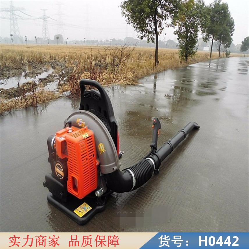 钜都灭火机 高压细水雾灭火机 四冲程风力灭火机货号H0442