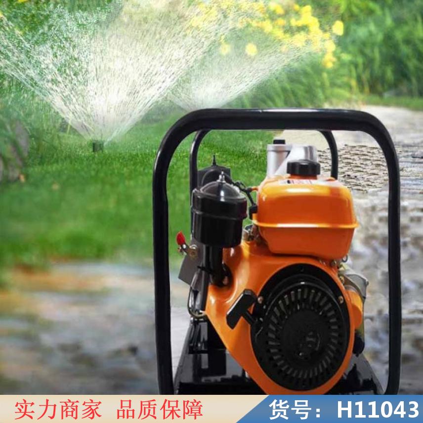 中德抽淤泥的水泵 自吸式水泵吸水泵 大功率直流水泵货号H11043