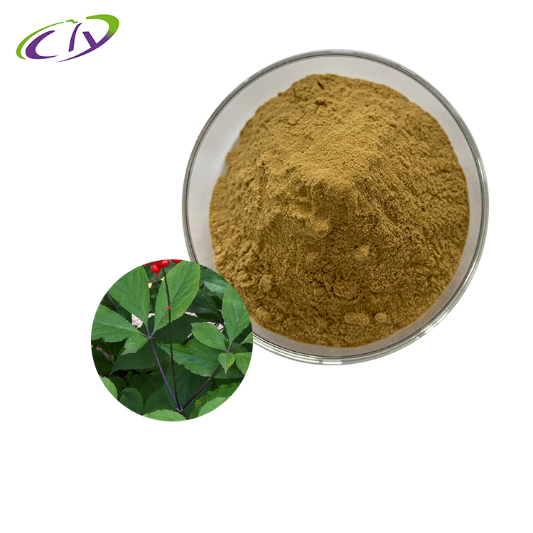 慈缘生物 SC厂家 人参叶提取物10:1 人参叶粉 人参茎叶提取物 片剂胶囊原料