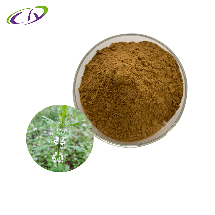 慈缘生物 SC厂家 夏至草提取物10:1 夏至草粉 小益母草提取物 片剂胶囊原料
