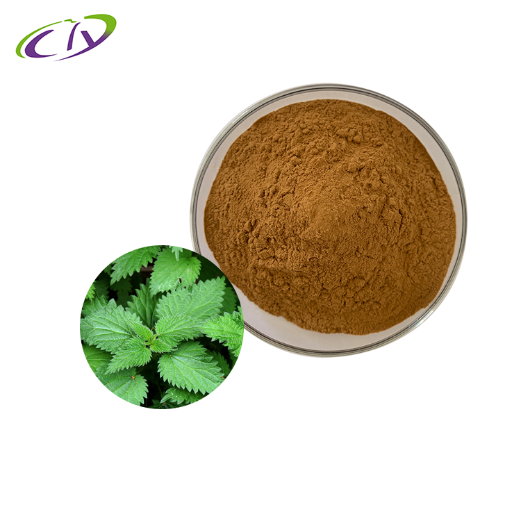 慈缘生物 SC厂家 荨麻提取物10:1 荨麻粉 片剂胶囊原料