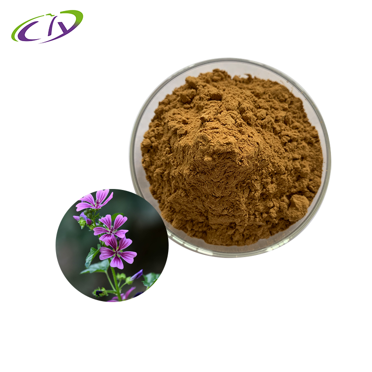 慈缘生物 SC厂家 锦葵提取物10:1 锦葵粉 片剂胶囊原料