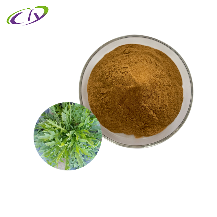 慈缘生物 SC厂家 芝麻菜提取物10:1 芝麻菜粉 片剂胶囊原料
