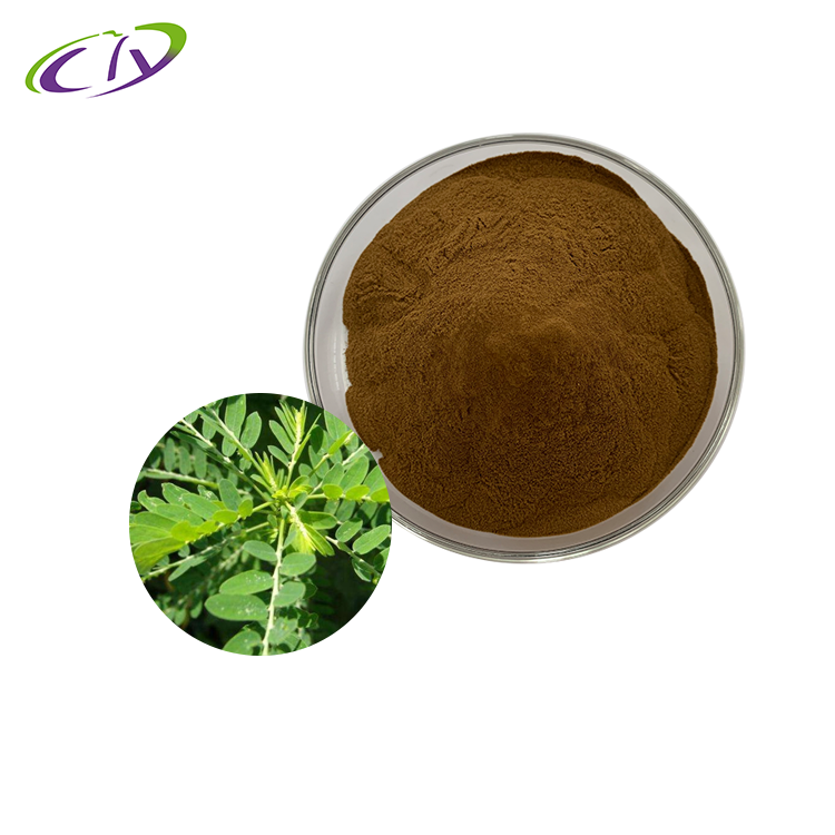 慈缘生物 SC厂家 叶下珠提取物10:1 叶下珠粉 珍珠草提取物 片剂胶囊原料