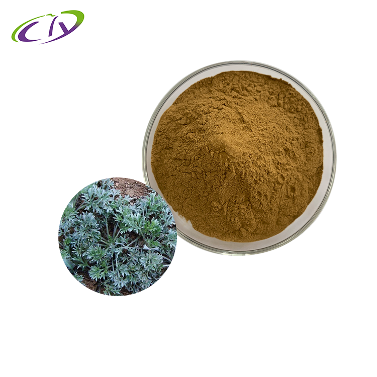 慈缘生物 SC厂家 茵陈提取物10:1 茵陈粉 茵陈蒿提取物 片剂胶囊原料
