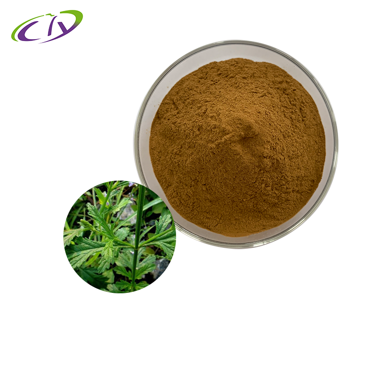 慈缘生物 SC厂家 马鞭草提取物10:1 马鞭草粉 片剂胶囊原料