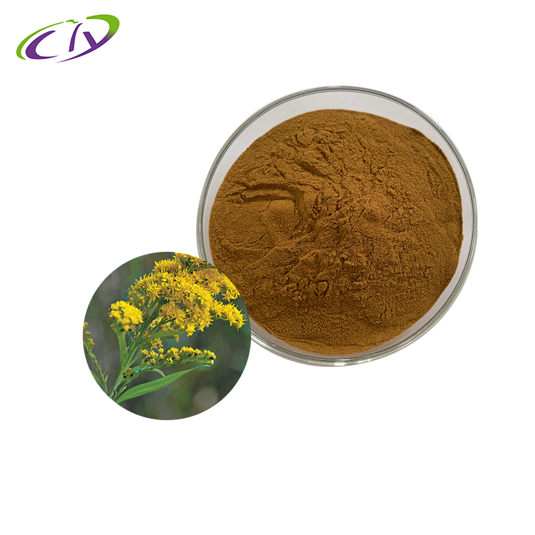 慈缘生物 SC厂家 一枝黄花提取物10:1 一枝黄花粉 野黄菊提取物 片剂胶囊原料