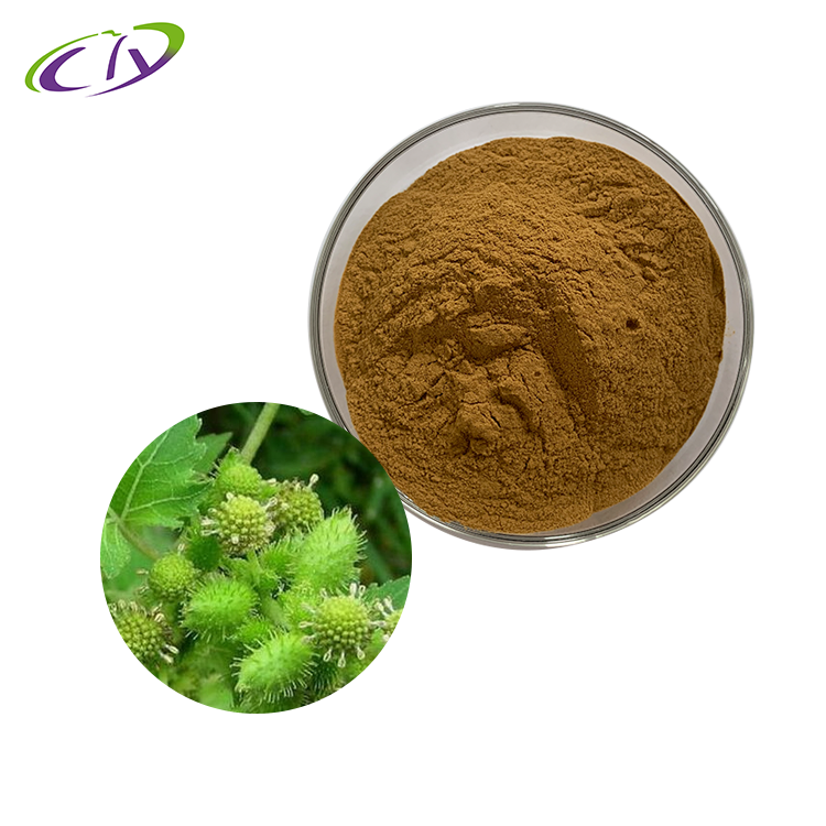 慈缘生物 SC厂家 苍耳子提取物10:1 苍耳子粉 片剂胶囊原料