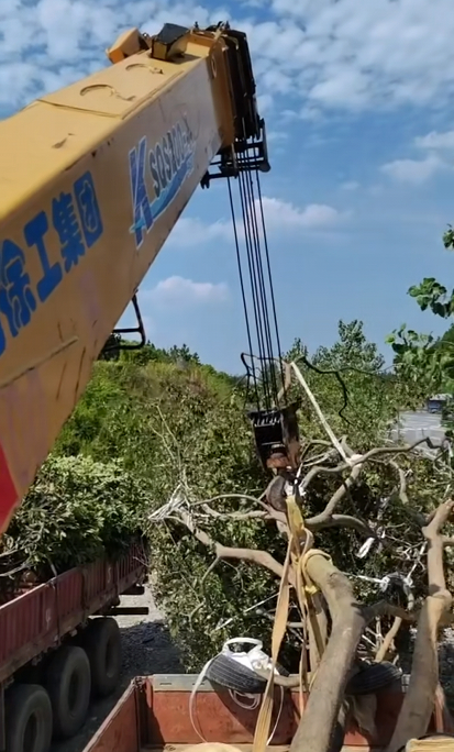 葫芦岛市8-70吨吊车出租电话 重型设备移位 包月租报价