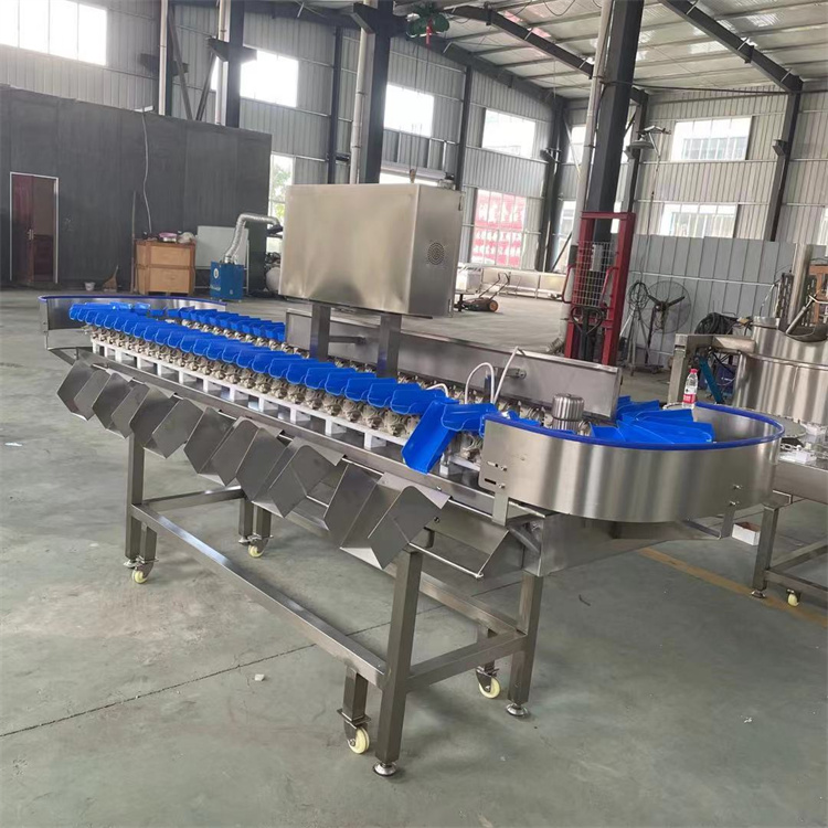 自动重量分选机 鸡腿鸡爪重量分选机 海蛎子重量分拣机 泓辰制造