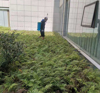 专业杀虫灭老鼠 专业杀虫灭蟑螂 专业消灭四害公司 病虫害 病虫害防治