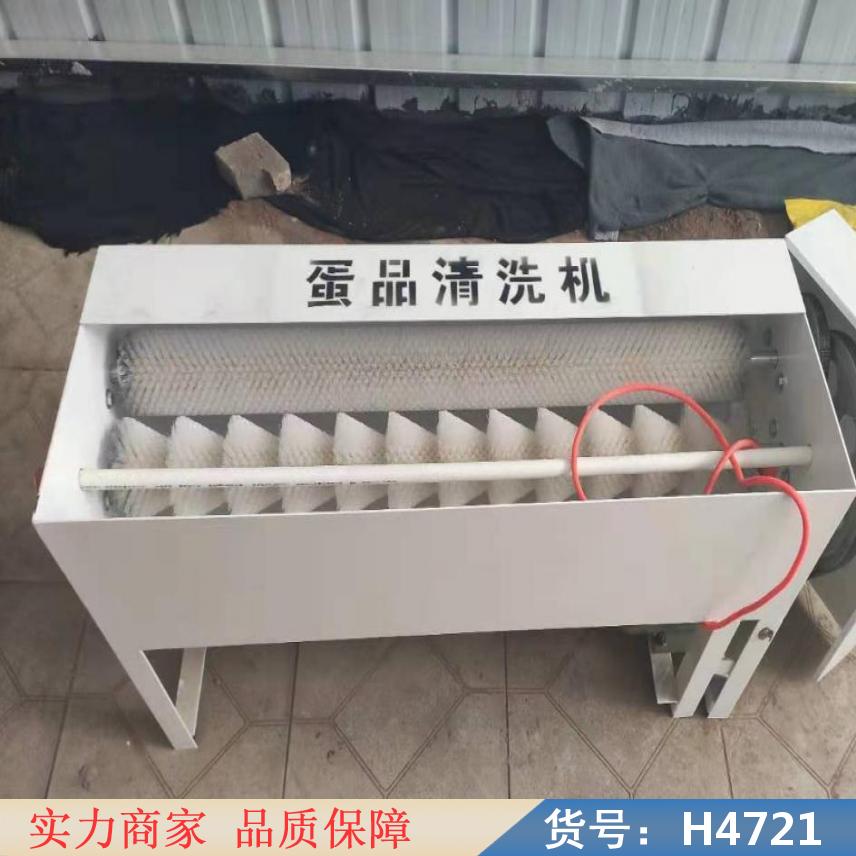 钜都自动化洗蛋机 鸡蛋洗蛋机 全自动洗鸭蛋机货号H4721