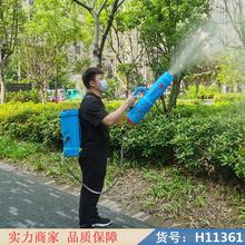 中德双核双泵电动喷雾器 手动农用喷雾器 新型电动喷雾器货号H11361