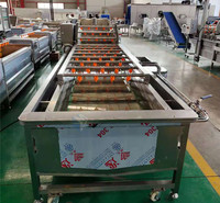 自动化高效率苹果清洗机 商用化果蔬加工流水线 不锈钢气泡清洗机价格