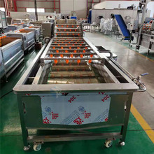 自动化高效率苹果清洗机 商用化果蔬加工流水线 不锈钢气泡清洗机价格