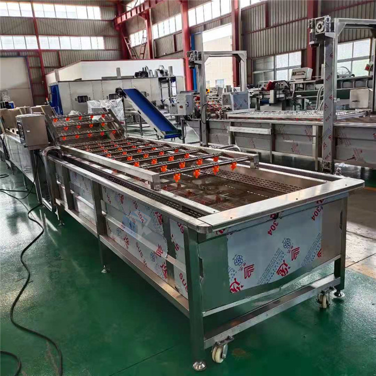 自动机械化咖啡菜清洗机 高压气泡清洗机 蔬菜加工清洗去泥流水线设备