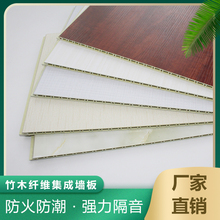 厂家供应 竹木纤维集成墙板VS40 