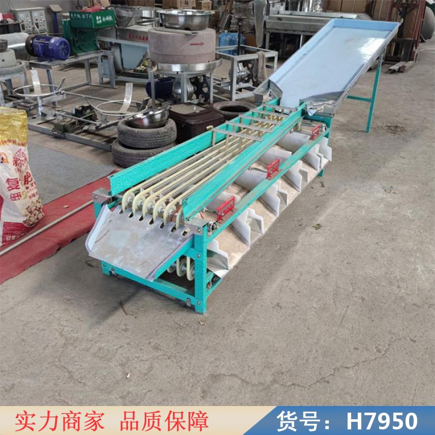 中德沙糖桔选果机 草莓选果机 沃柑选果机货号H7950