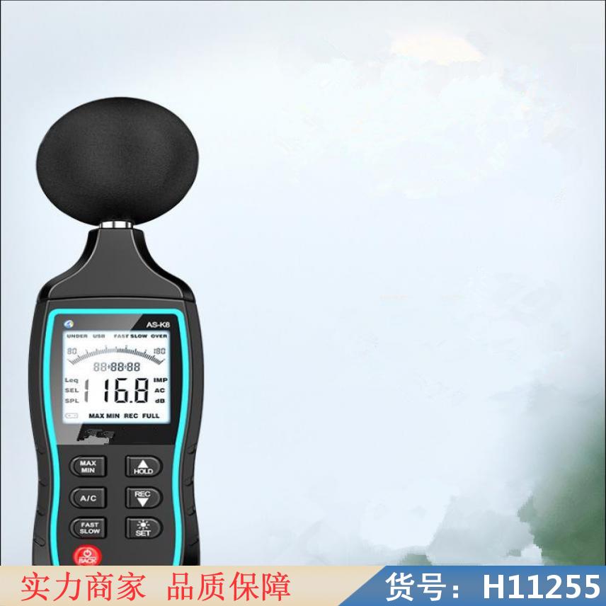 中德高频噪声测试仪 个体噪声计 积分平均声级计货号H11255