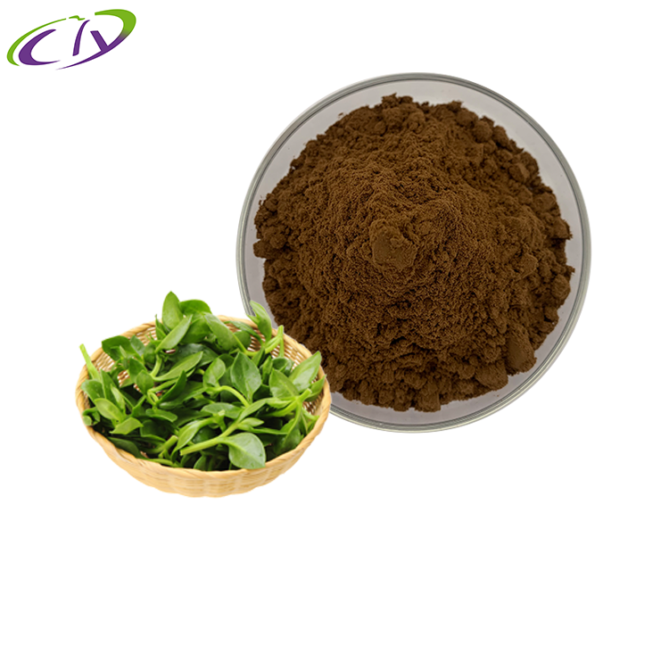 慈缘生物 SC厂家 穿心莲提取物10:1 穿心莲粉 片剂胶囊原料