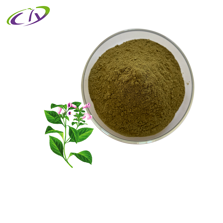 慈缘生物 SC厂家 大青叶提取物10:1 大青叶粉 菘蓝叶提取物 片剂胶囊原料
