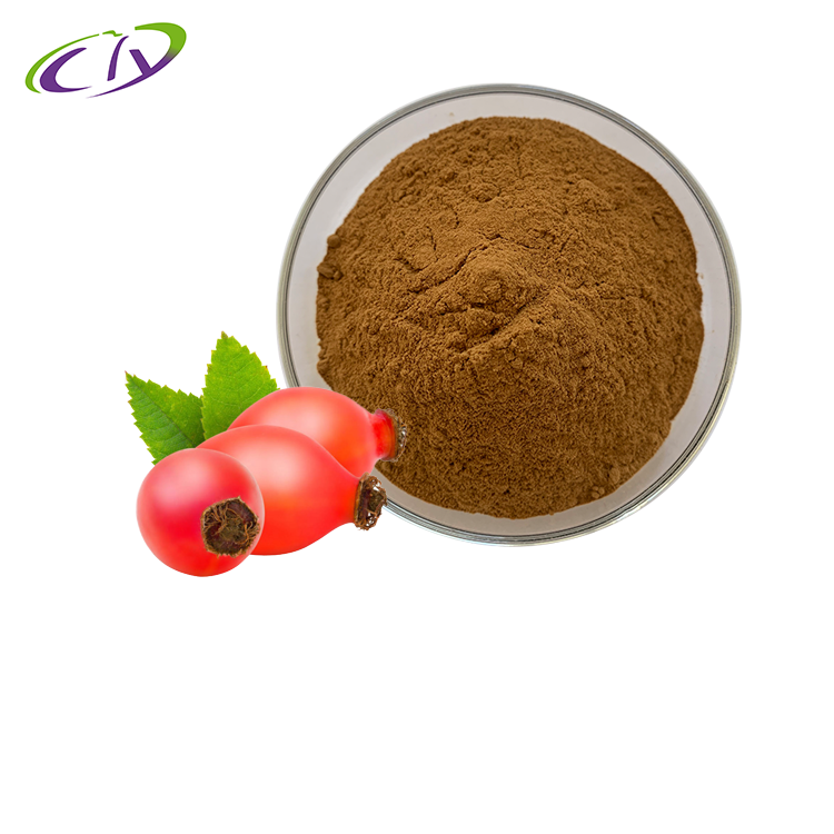 慈缘生物 SC厂家 玫瑰果提取物10:1 玫瑰果粉 刺玫果提取物 片剂胶囊原料