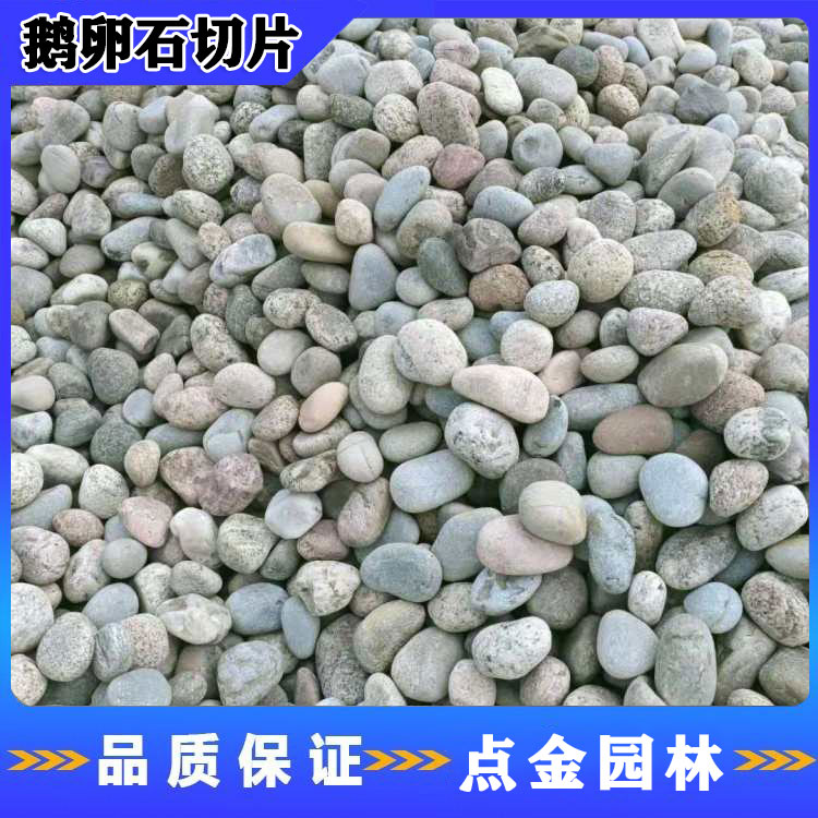 自贡鹅卵石切片石 庭院装饰铺路石 鹅卵石切片 点金园林直销
