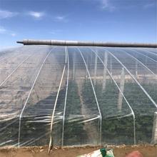 调光膜温室大棚 【恒冠】调光膜大量供应中 大棚调光膜