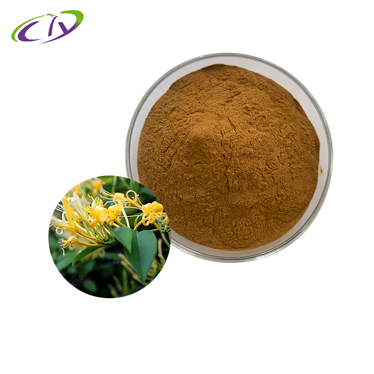 慈缘生物 SC厂家 金银花提取物10:1  金银花粉 忍冬花提取物 片剂胶囊原料