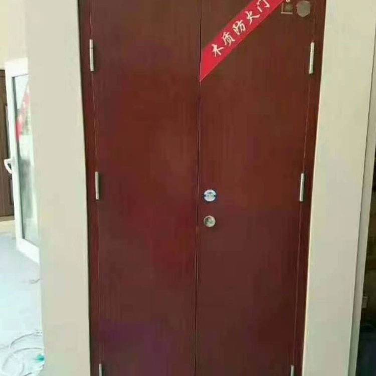 防火防盗进户门 室内木门 系列木质防火门  工程防火门 钢质防火门 惠尔定制