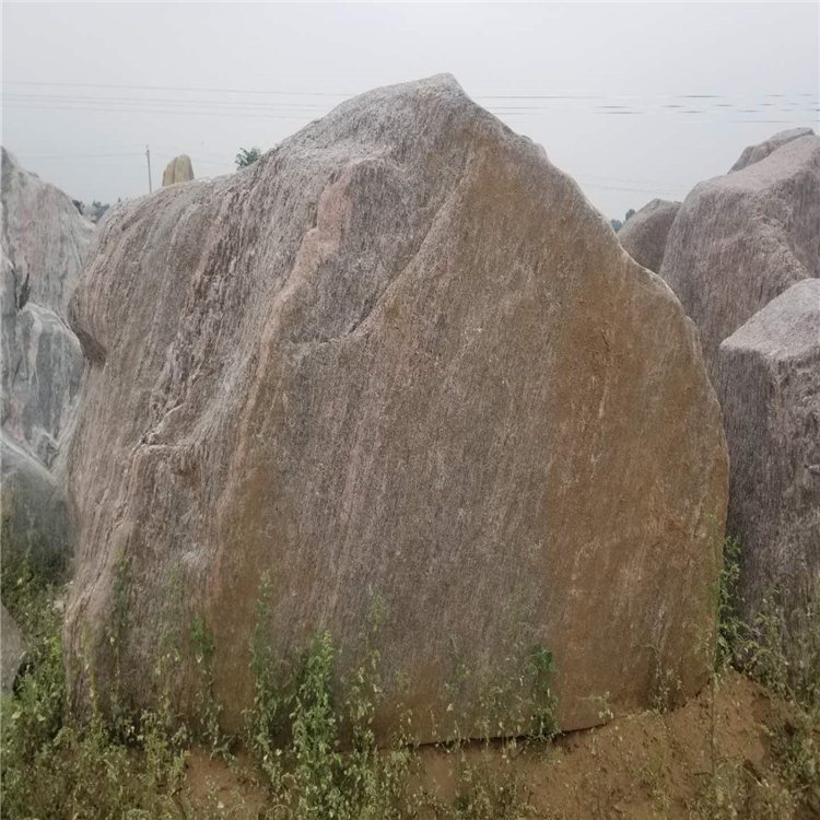 上海泰山石报价 点金园林批发  园林假山石泰山石 上海天然泰山石原石