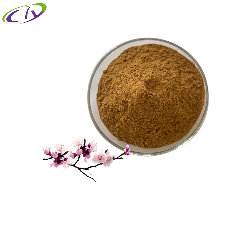 慈缘生物 SC厂家 桃花提取物10:1 桃花粉 片剂胶囊原料