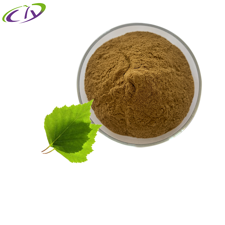 慈缘生物 SC厂家 桦树叶提取物10:1 桦树叶粉 白桦叶提取物 片剂胶囊原料