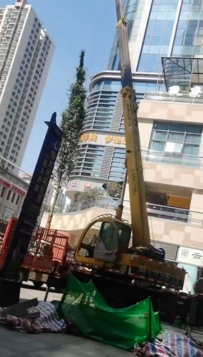 武定县16-130吨吊车出租 装车卸货服务报价 随叫随到