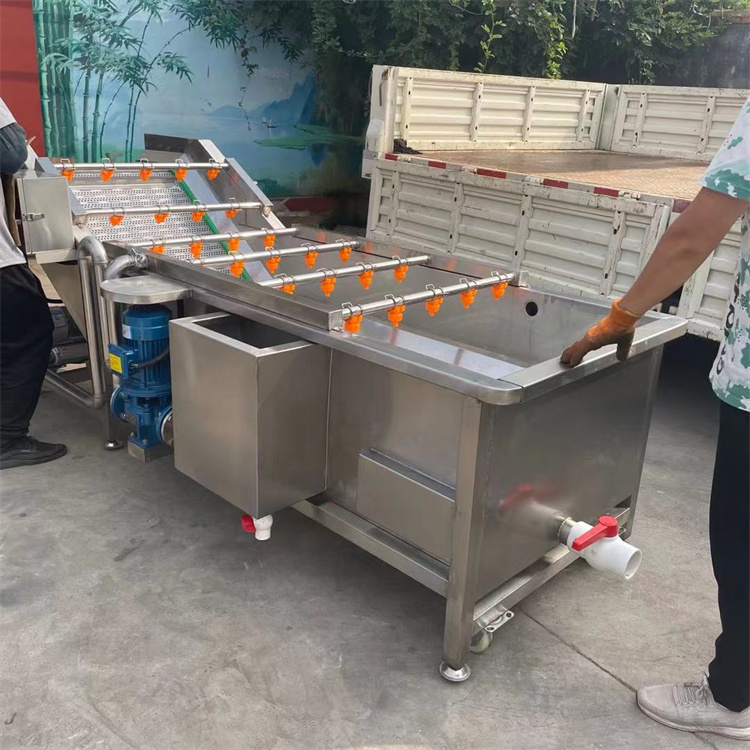 喷淋式果蔬清洗机 生姜竹笋气泡清洗机 辣椒气泡清洗机 净菜成套设备