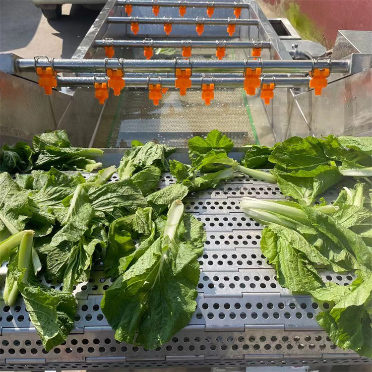 全自动果蔬清洗机 大姜毛豆喷淋式洗菜机 叶菜类气泡清洗设备
