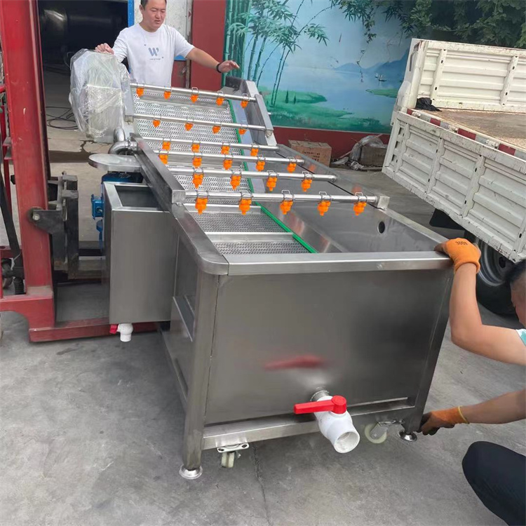 多功能大姜清洗机 全自动气泡清洗机 蔬菜气泡清洗机 可定制