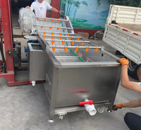 泓辰果蔬气泡清洗机 高压喷淋清洗机 山野菜加工流水线 可定制
