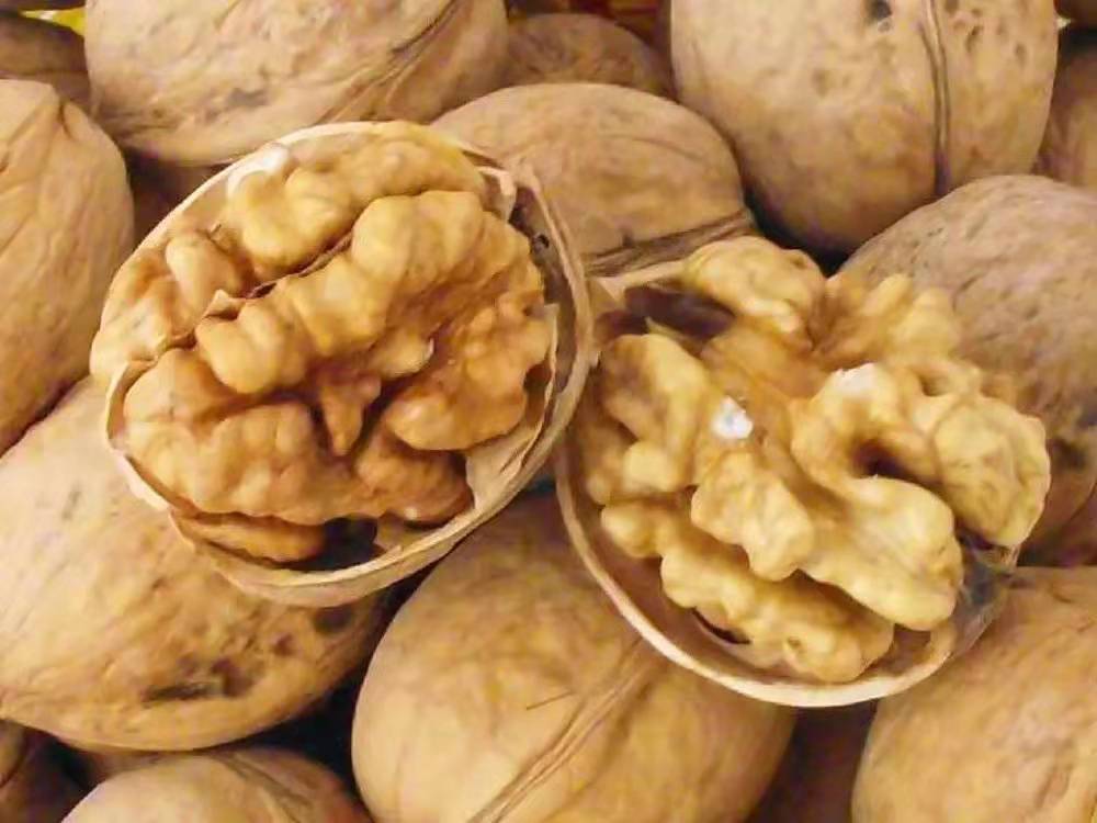 批发迁西新货核桃 现货供应迁西核桃 新鲜核桃批发厂家多买优惠货源充足