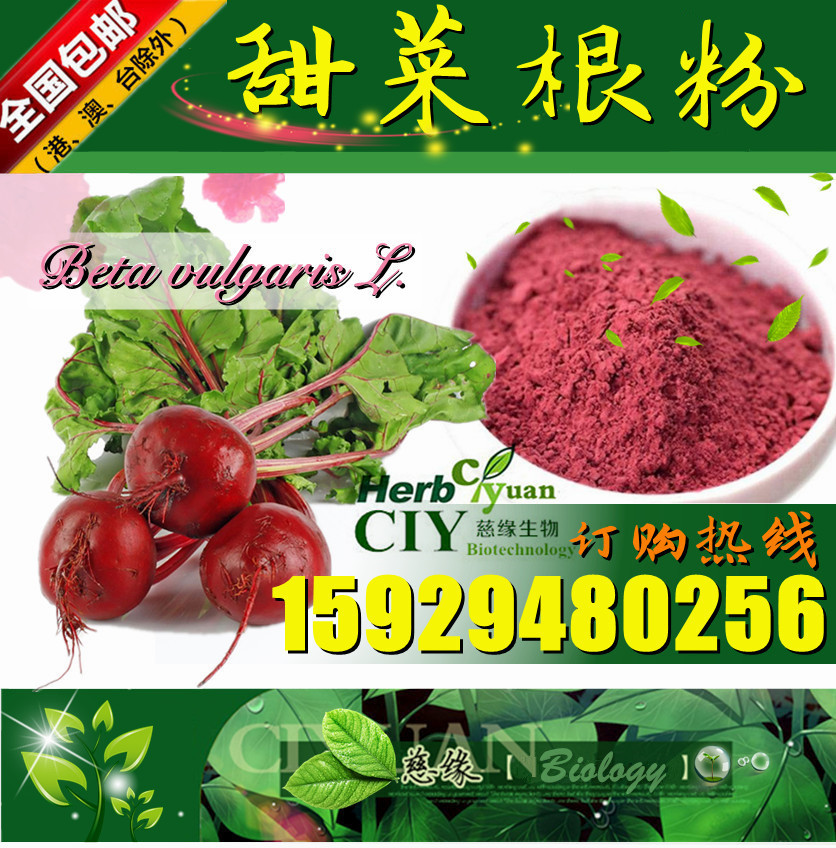 慈缘生物 SC厂家 甜菜根粉 红甜菜粉 红菜头根粉 甜菜生粉 甜菜根汁粉 胶囊压片