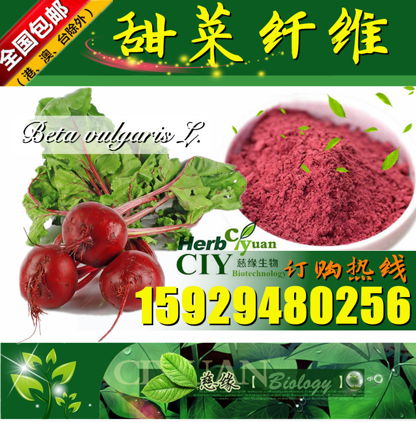 慈缘生物 SC厂家 甜菜纤维 甜菜膳食纤维粉 甜菜根粉 甜菜纤维素60% 