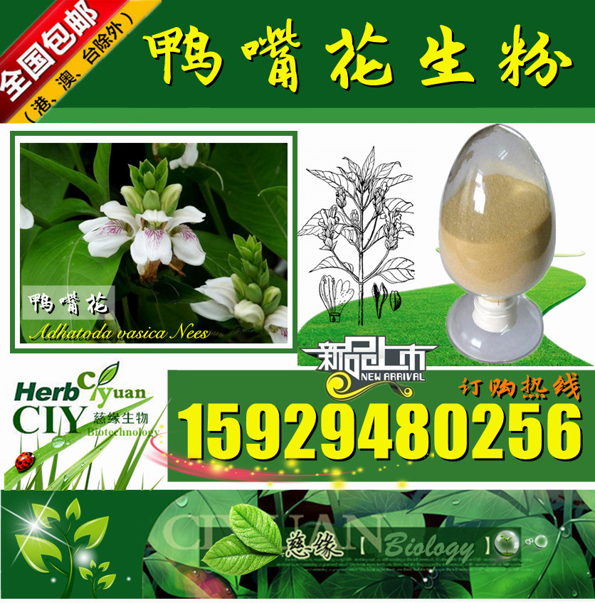 慈缘生物 SC厂家 鸭嘴花生粉 牛舌兰生粉 大驳骨生粉 胶囊压片