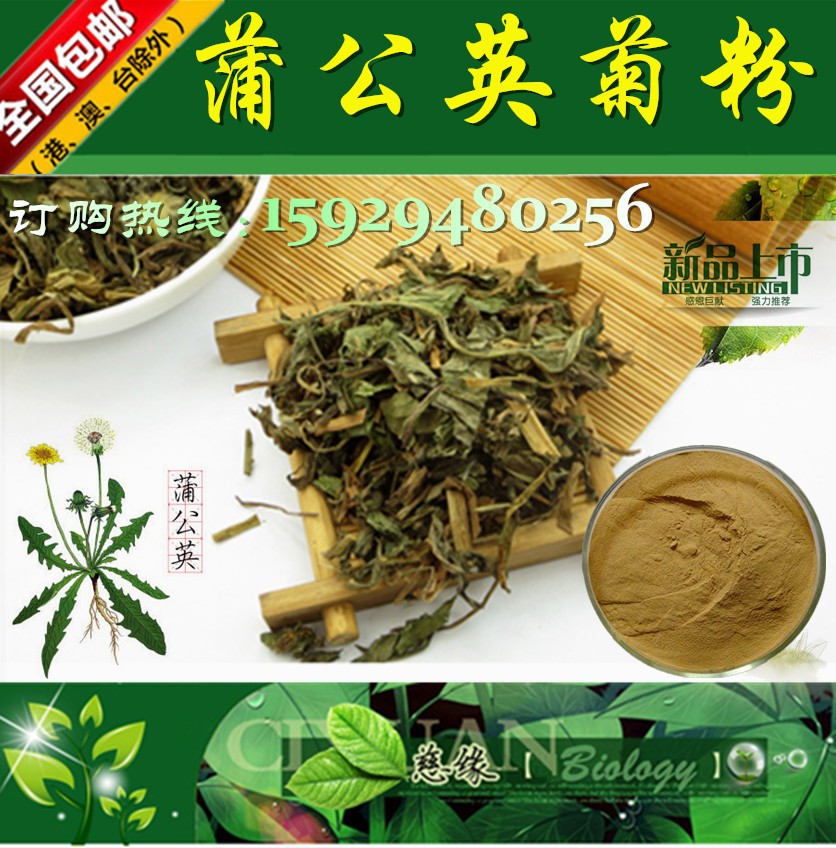 慈缘生物 SC厂家 蒲公英提取物 蒲公英菊粉 2~50% 现货供应