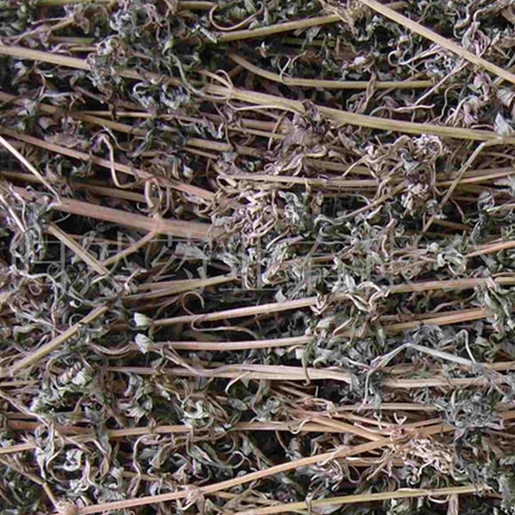 干益母草直销 干益母草中药材购销 干益母草供应 亳州直发干益母草 干益母草中药材 