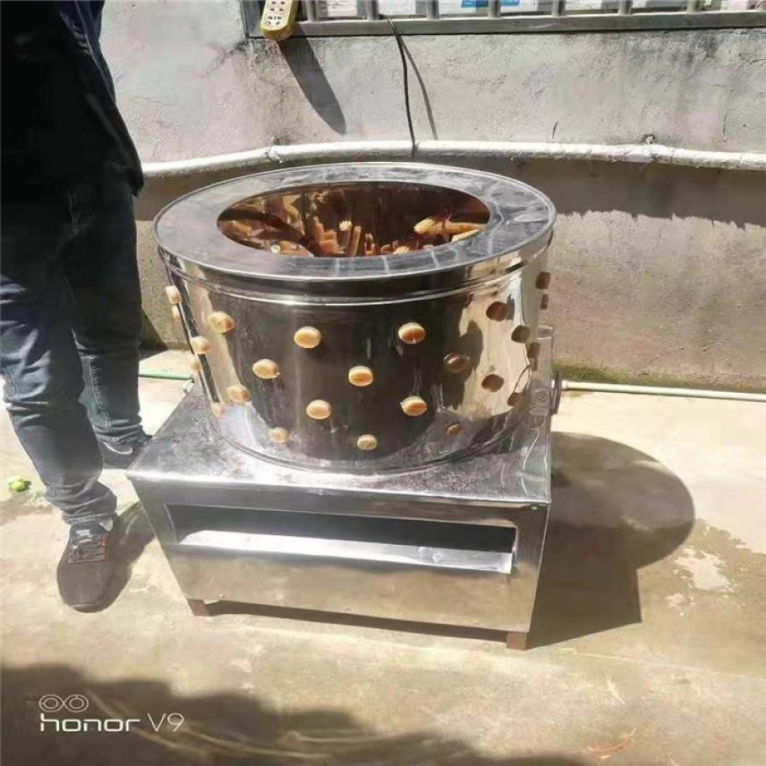 慧采大型脱羽机 白条鸡脱羽仪 猪头脱毛机